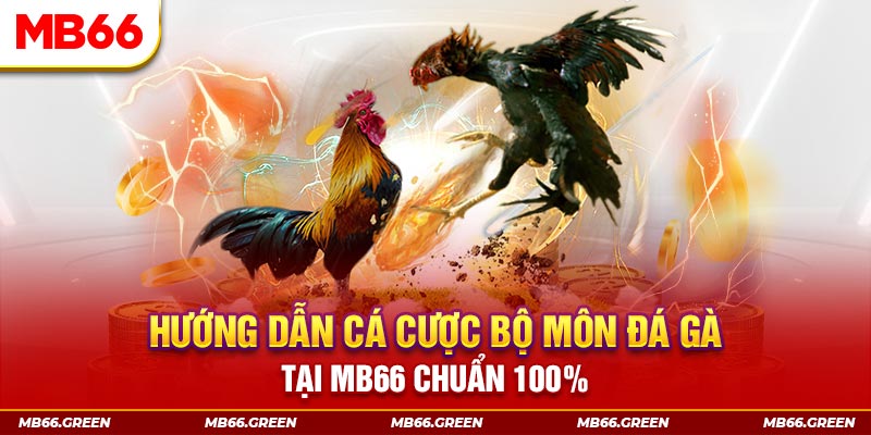 hi8823 xổ số bình định