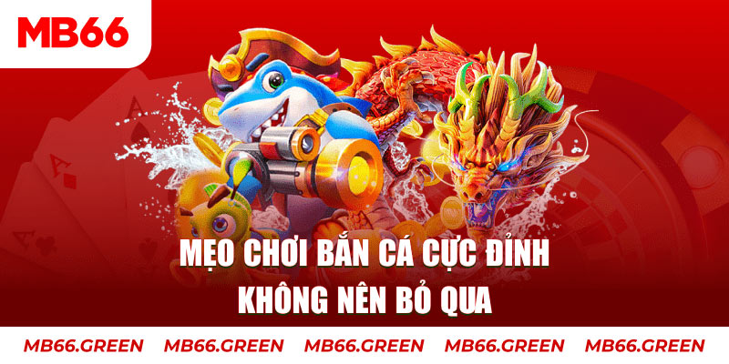 hi8823 casino ở đâu