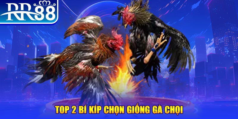 hi8823 đăng nhập roulette dễ thắng