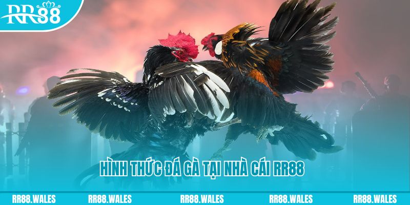 hi8823 xin 1 slot là gì