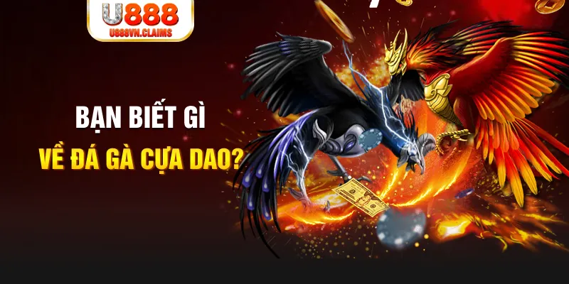hi8823 xổ số kiến thiết