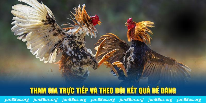 hi8823 đá gà trực tiếp bình luận viên