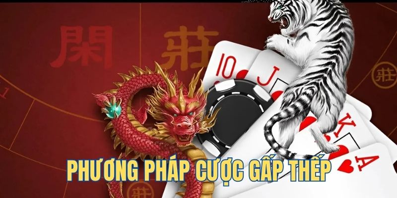 hi8823 ga choi