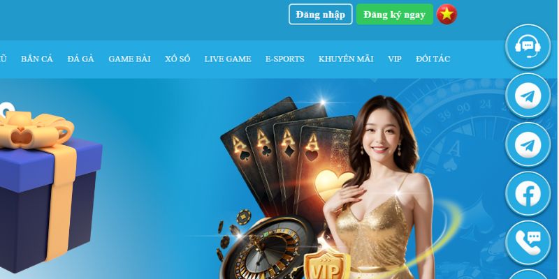 hi8823 slot là gì dịch