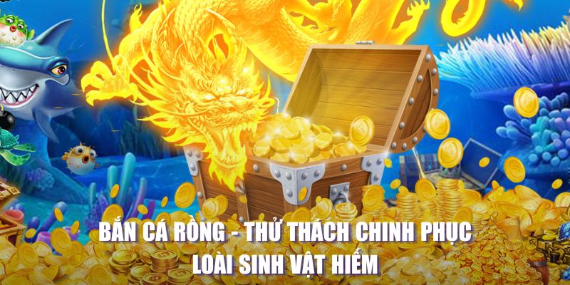 hi8823 game bai beme tren may tinh