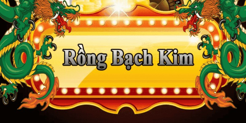 hi8823 đăng nhập roulette 2025