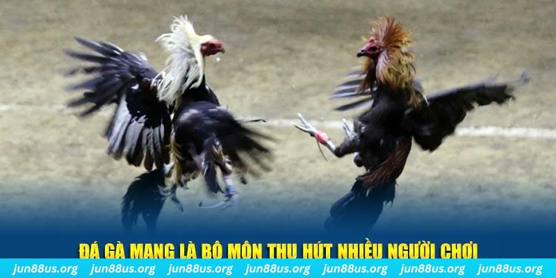 hi8823 xổ số cà mau