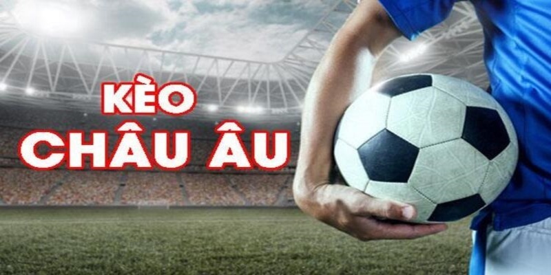 hi8823 đá gà trực tiếp casino
