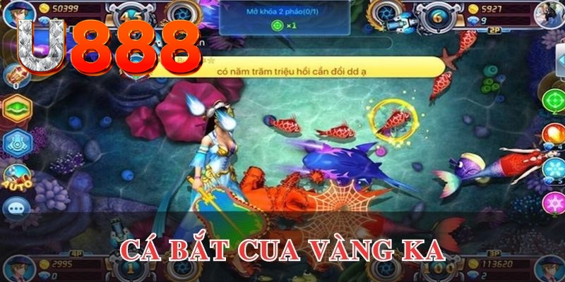 hi8823 đăng nhập phỏm uy tín