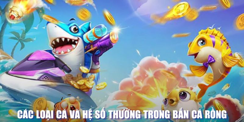 hi8823 loi game dot kich ket noi may chu that bai