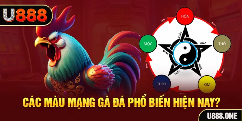 hi8823 đăng nhập mậu binh