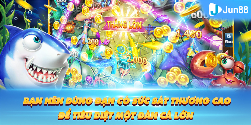hi8823 Tung Đồng Xu