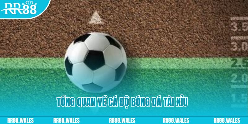 hi8823 đăng nhập lô đề online
