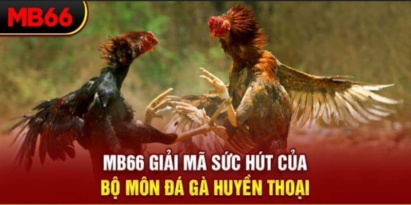 hi8823 Phi Đội Ưu Tú