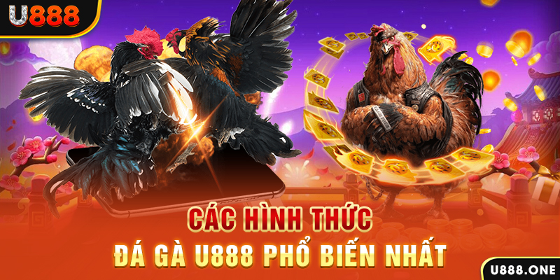 hi8823 DB Trực Tuyến