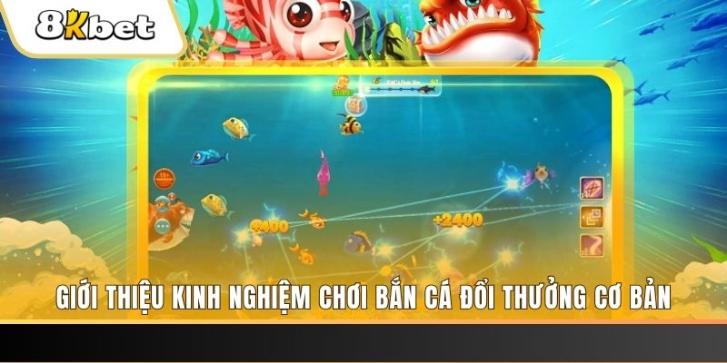 hi8823 xổ số miền bắc thứ năm hàng tuần