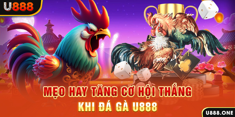 hi8823 trực tiếp gà chọi c1