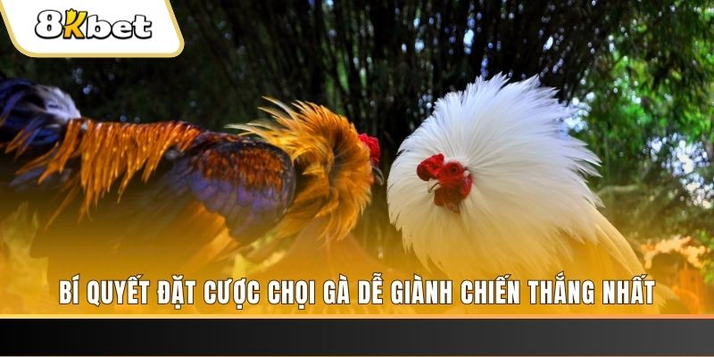 hi8823 Tài Xỉu 2
