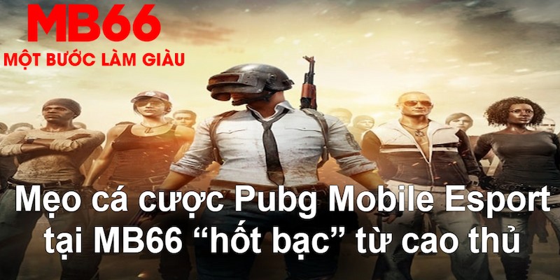 hi8823 gà chọi mộc hóa