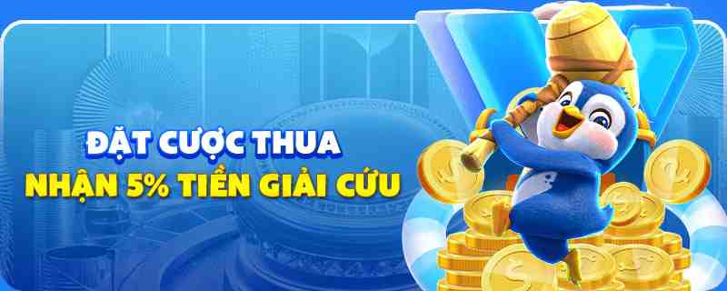 hi8823 gà chọi cu cần