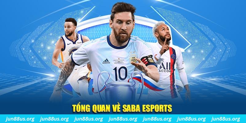 hi8823 gà chọi c1 tv trực tiếp hôm nay
