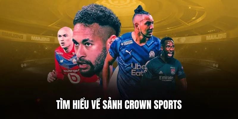 hi8823 đá gà trực tiếp